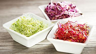 Sprossen ziehen - Foto: istock/~UserGI15966731