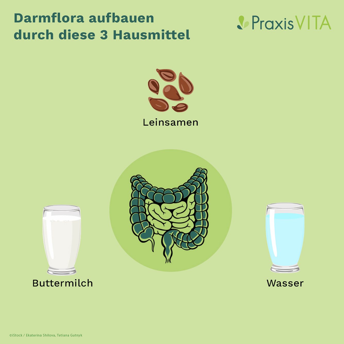 gesunde-darmflora-hausmittel-2 Grafische Darstellung der Hausmittel für eine gesunde Darmflora