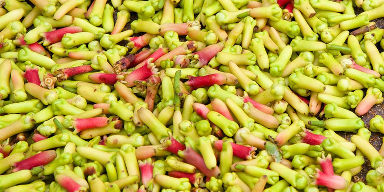 Frische Gewürznelken