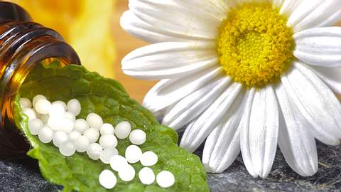 Globulis - Foto: Fotolia