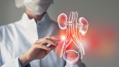 Eine Ärztin zeigt auf eine Illustration von Organen - Foto: iStock_mi-viri 
