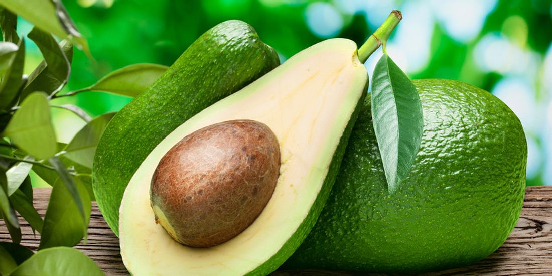 Avocado