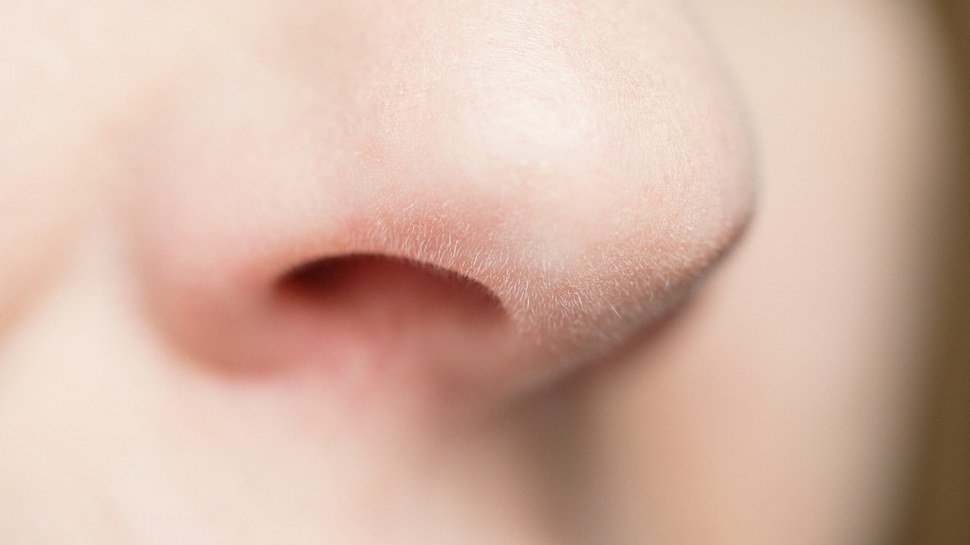 Herpes-Viren treten nicht nur als Lippen-Herpes in Erscheinung, sondern können auch in der Nase ausbrechen. Die Infektion ist hoch ansteckend.