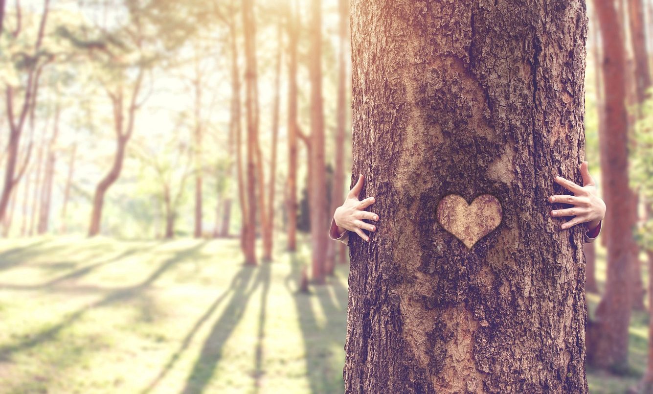 Frau umarmt Baum mit Herz