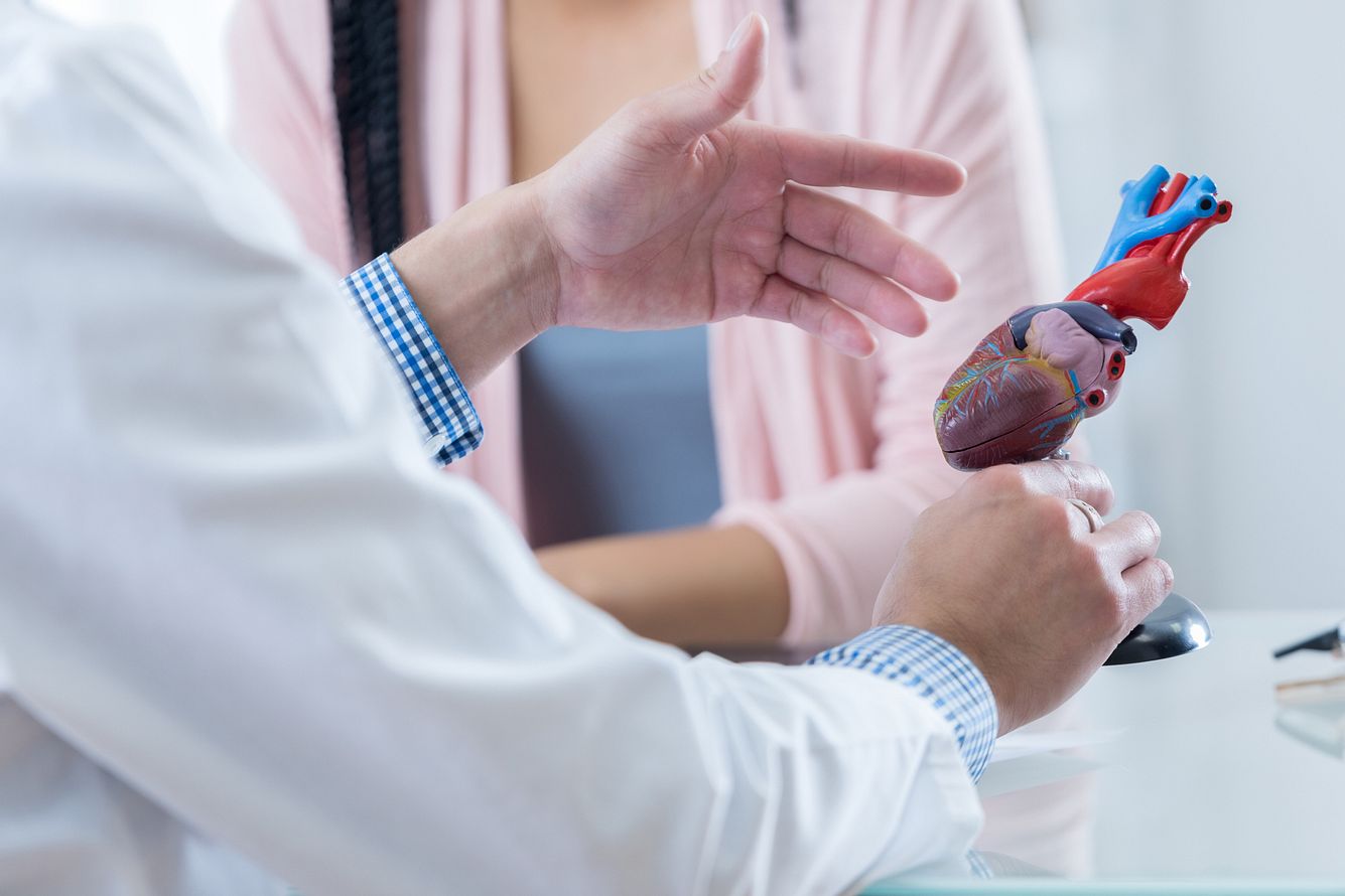 Ein Arzt hält im Gespräch mit einer Patientin ein Modellherz in der Hand