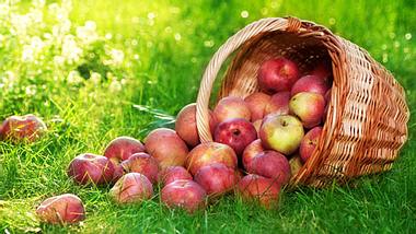 Äpfel helfen Herzkrankheiten vorzubeugen - Foto: Fotolia