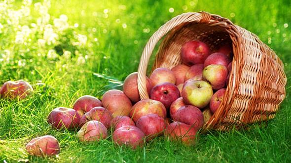 Äpfel helfen Herzkrankheiten vorzubeugen - Foto: Fotolia