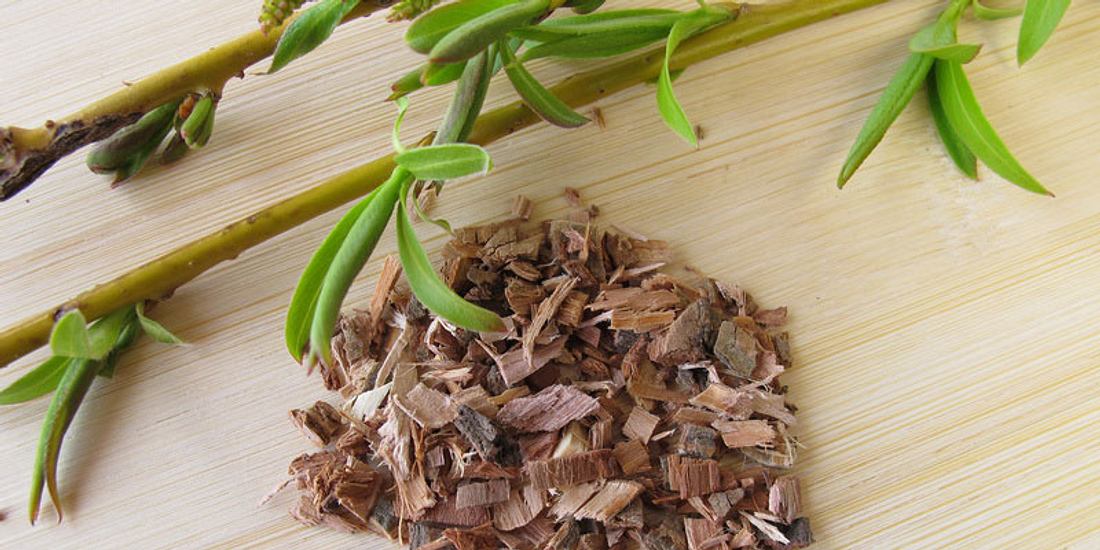 Homöopatische Mittel Okubaka aus Weidenrinde