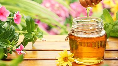 Apitherapie: Heilen mit Honig