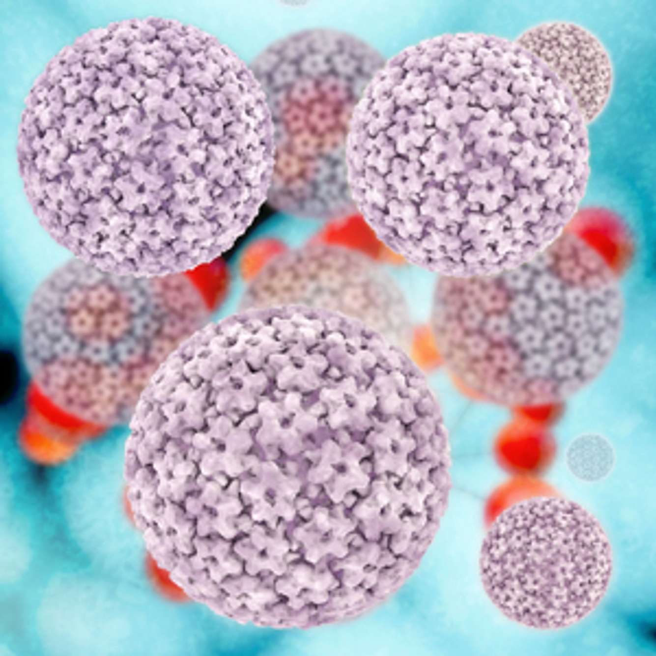 HPV