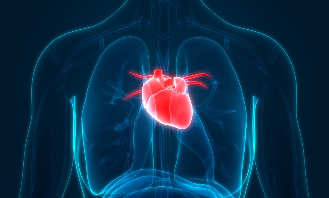Handelt es sich bei Herzschmerzen immer um einen Herzinfarkt?