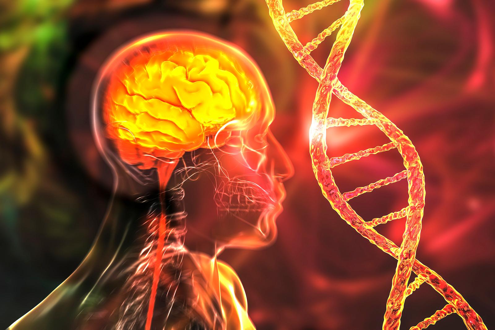 Ist Demenz Vererbbar Das Sagt Die Wissenschaft PraxisVITA