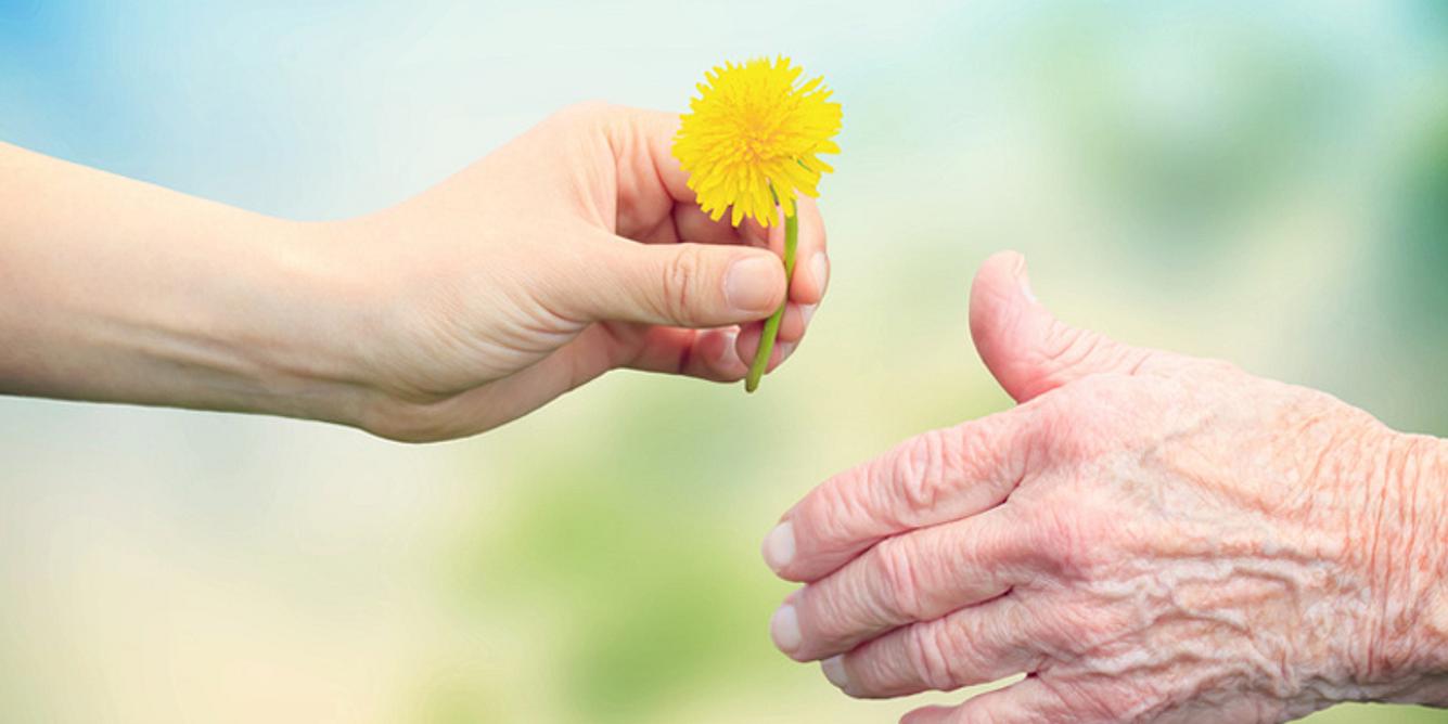Eine junge Hand reicht einer alten Hand eine Blume