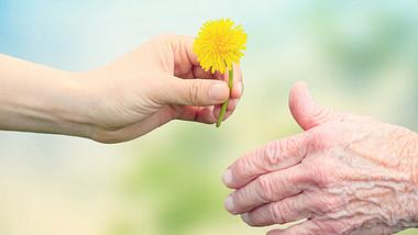 Eine junge Hand reicht einer alten Hand eine Blume - Foto: Fotolia