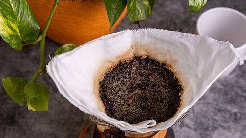 Filter mit Kaffeesatz von oben, dahinter eine Grünpflanze - Foto: iStock/Zacary Capps