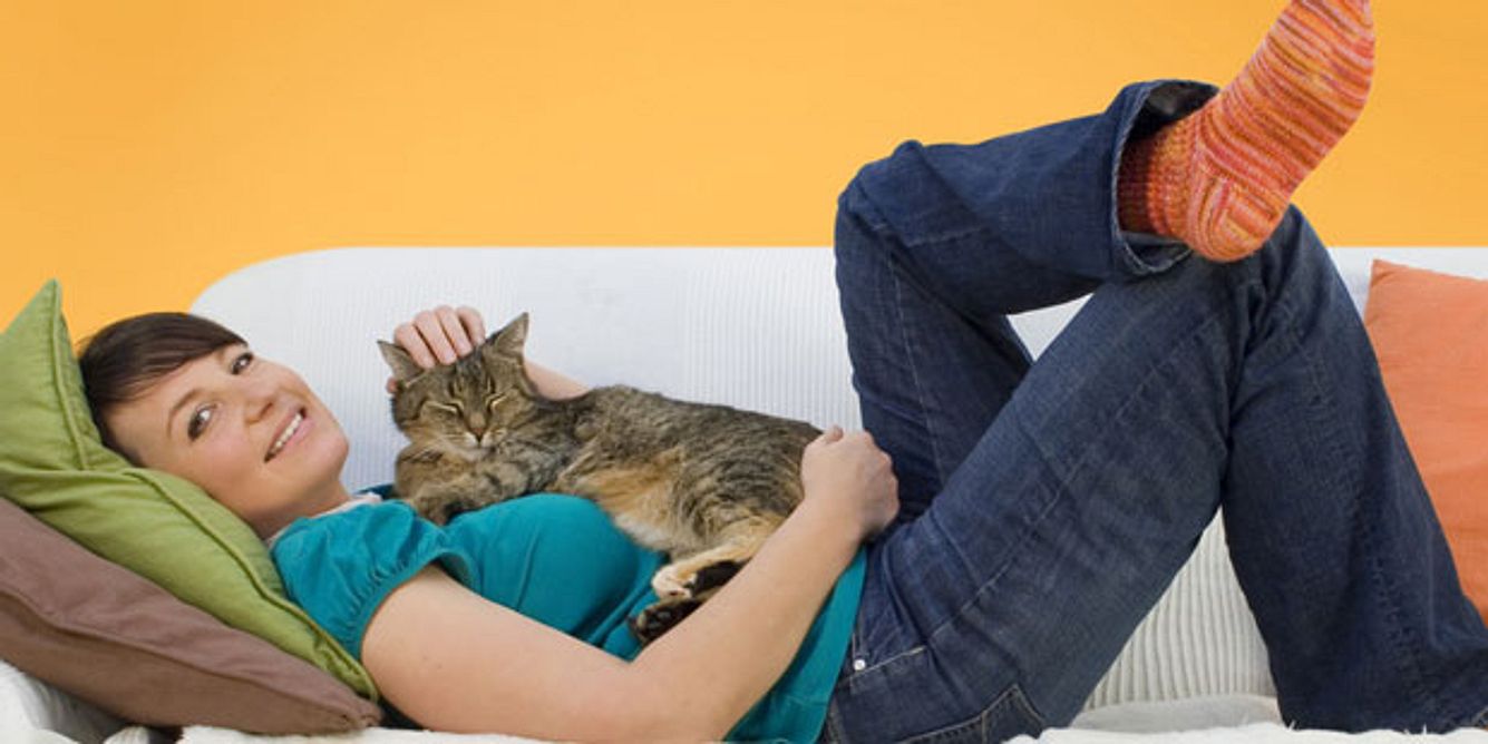 Katzen lösen oft eine Tierhaarallergie aus