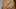 Katze - Foto: iStock/Luftklick