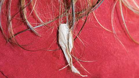 Ein Kaugummi klebt in den langen Haaren einer Frau. - Foto: iStock/Tarah Russell