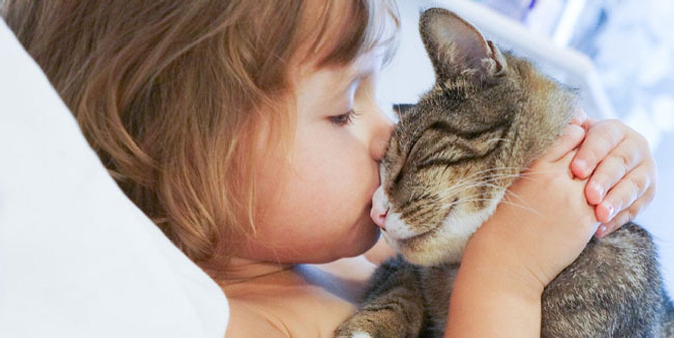 Kind mit Katze