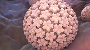 HPV - Foto: Fotolia