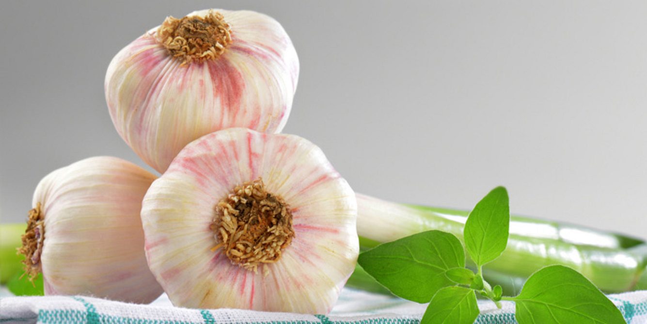 Knoblauch für das Herz