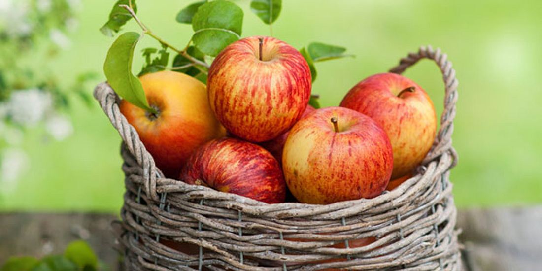 Äpfel essen bei Durchfall