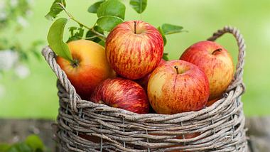 Apfel - natürliche Unterstützung für den Darm