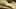 Kräuterbutter auf einem Brett mit Knoblauch, Petersilie und Schnittlauch garniert - Foto: istock_PicturePartners