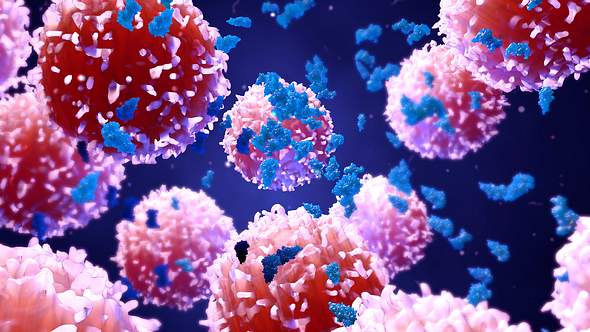 Krebszellen - Foto: iStock/Design Cells