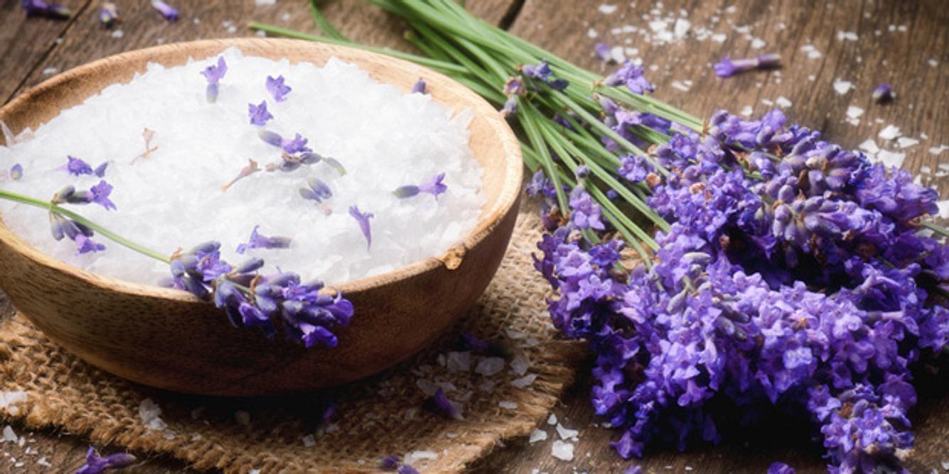 Lavendel