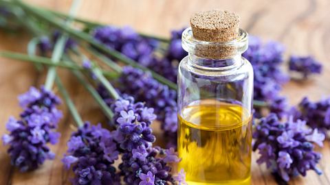 Lavendelblüten und Lavendelöl auf einem Holztisch - Foto: iStock/Madeleine_Steinbach