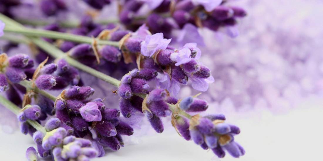 Lavendel hilft gegen Verspannungen