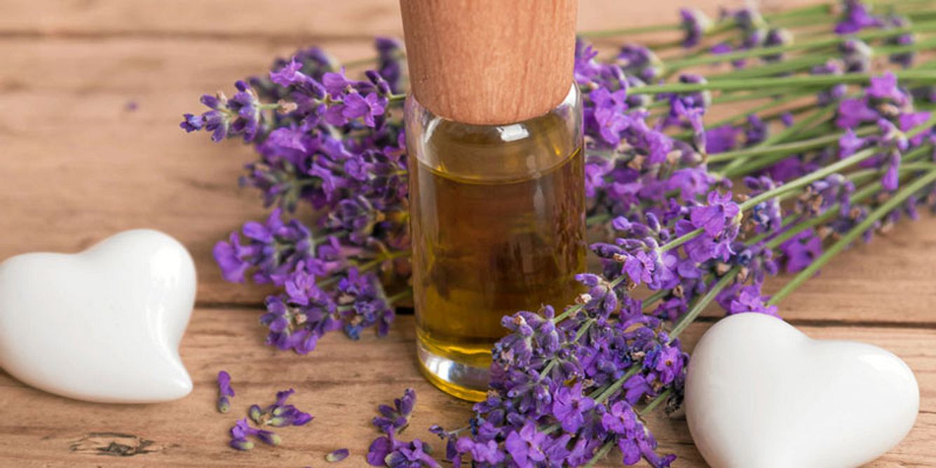 Lavendel