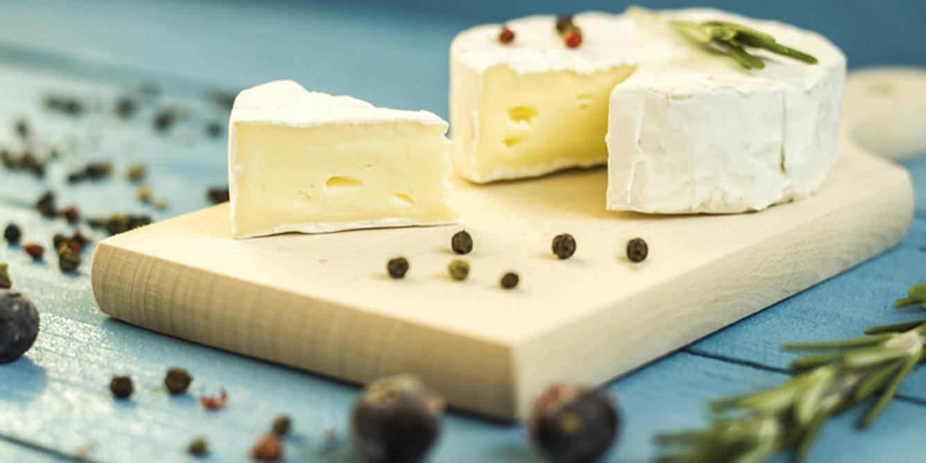 Laktose im Camembert