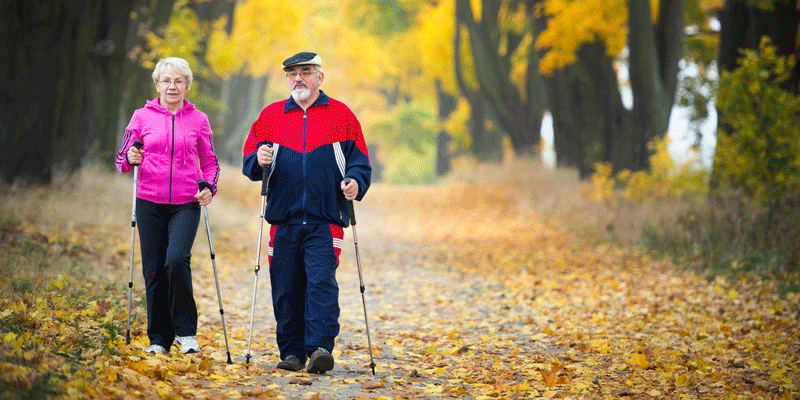 Durch Ausdauersport wie Walking können sie der Bildung von Blutgerinnseln (Thrombose) und somit auch  Lungenembolie vorbeugen