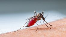 Eine Mosquito auf der Haut. - Foto: iStock / smuay