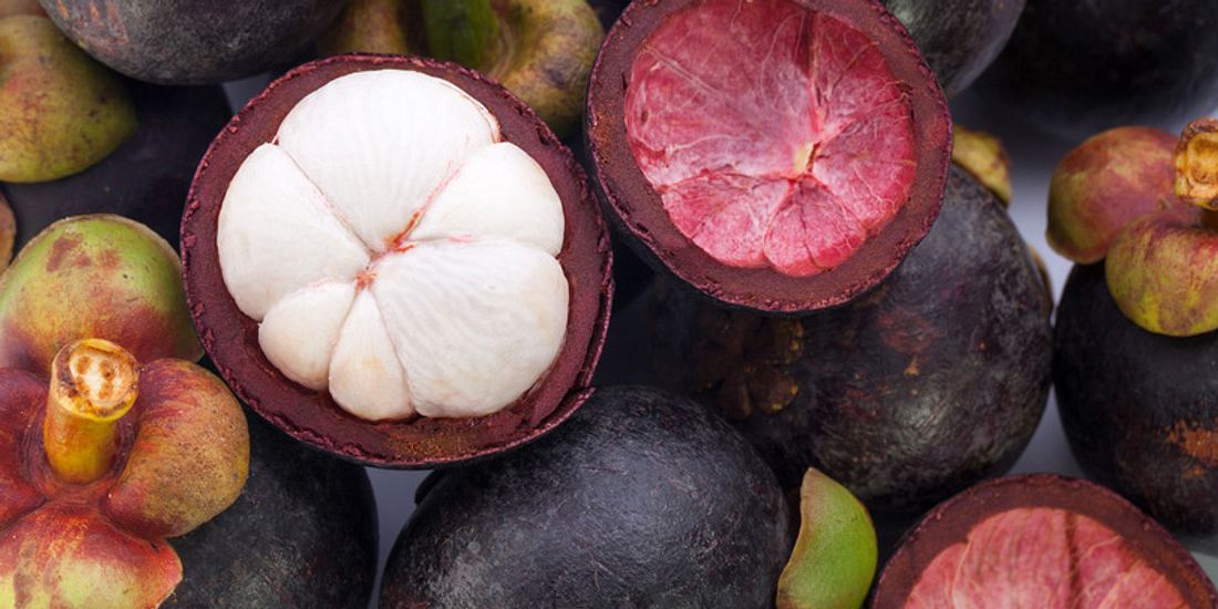 Mangostan stärkt das Immunsystem
