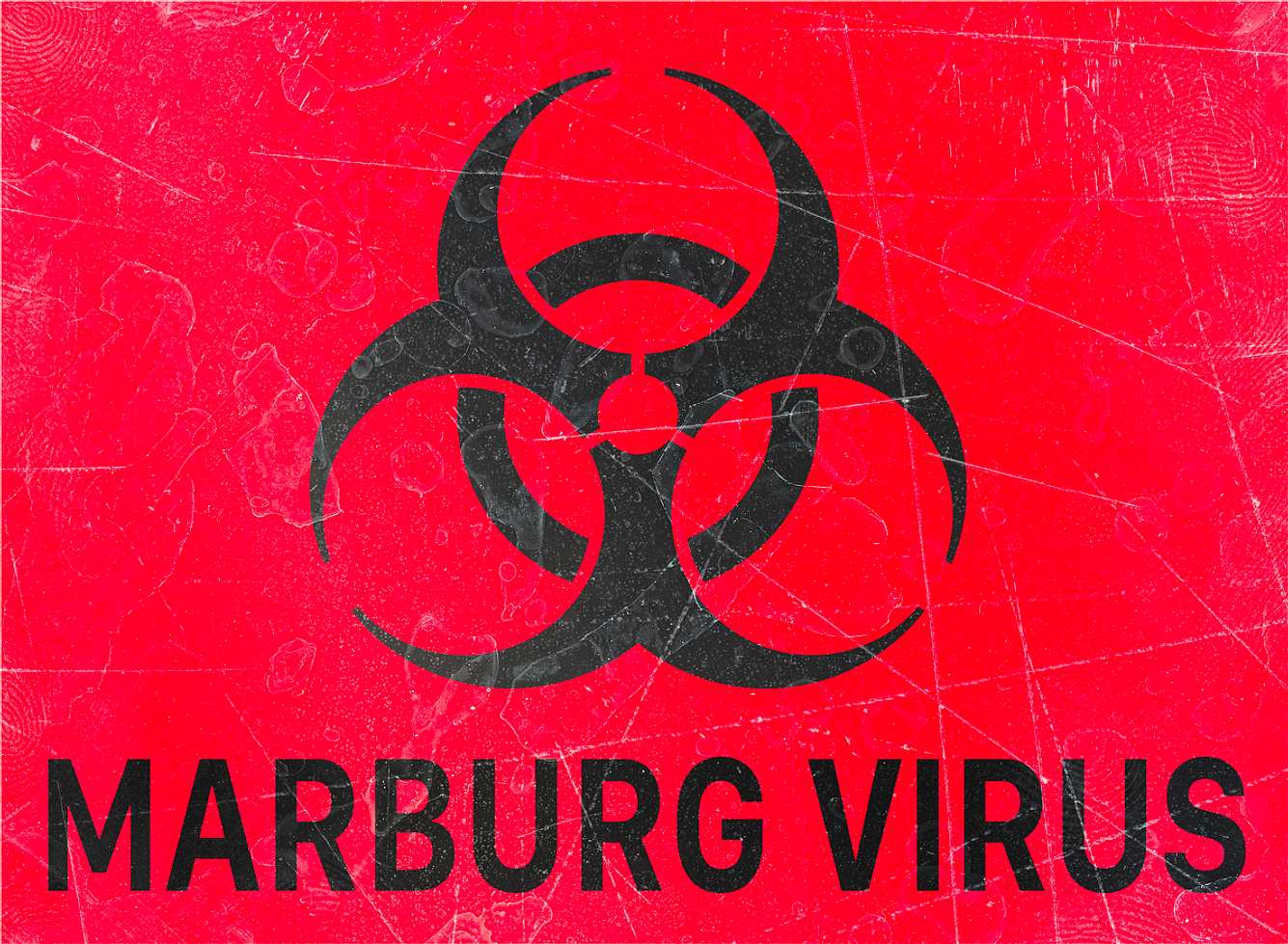 Warnzeichen vor biologischen Gefahren mit Schriftzug „Marburg Virus