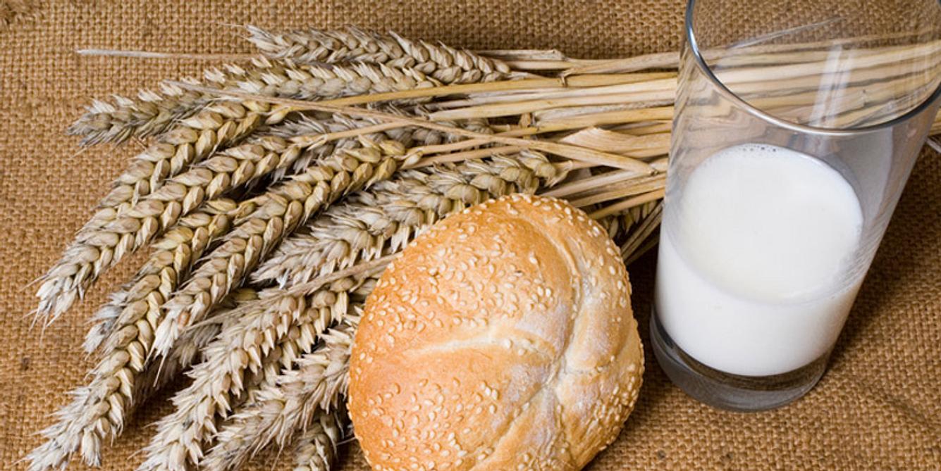 Dinkelmilch ist eine gesunde Alternative zu Milch