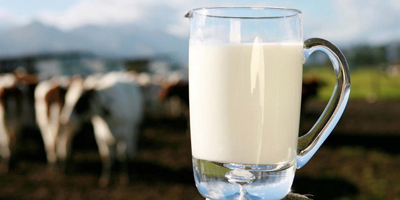 Kuhmilch enthält wichtige Nährstoffe