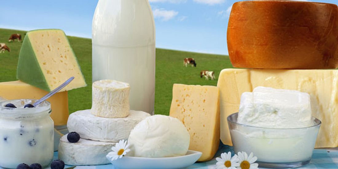 Milchprodukte schützen vor Osteoporose
