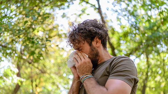 Mann putzt sich die Nase mit einem Taschentuch, im Hintergrund Bäume - Foto:  iStock/ProfessionalStudioImages