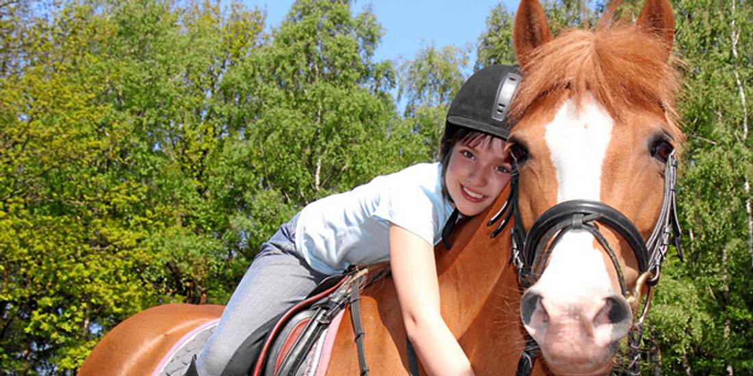 Nur der Mensch und das Pferd können Muskelkater bekommen