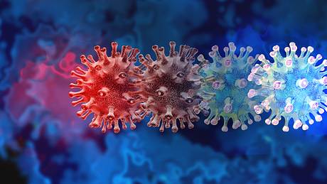 Illustration des Mutationsprozesses des Coronavirus - Foto: iStock_wildpixel