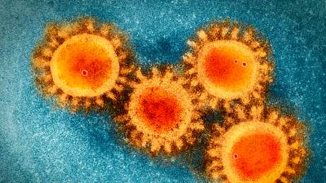 Coronavirus unter dem Mikroskop - Foto: iStock / narvikk