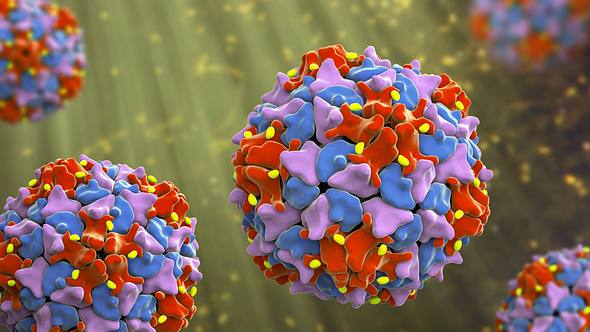 Polio-Viren - Foto: iStock/Dr_Microbe