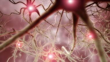 Nervenzelle - Foto: istock