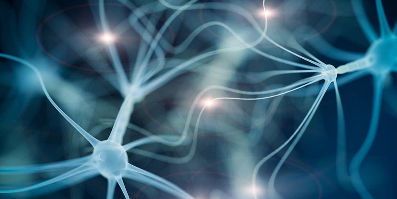 Gehirn trainieren und Nervenzellen aktivieren