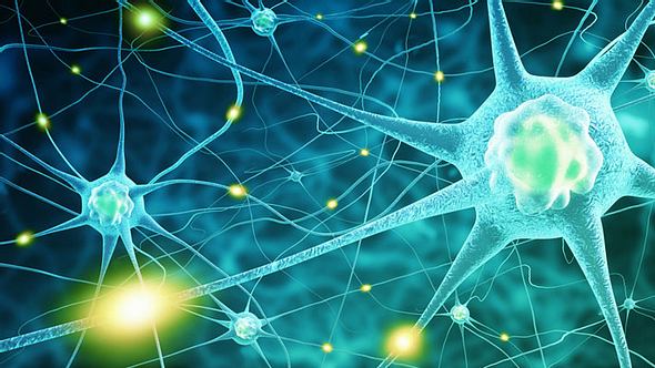 Nervenzellen im Gehirn - Foto: Fotolia