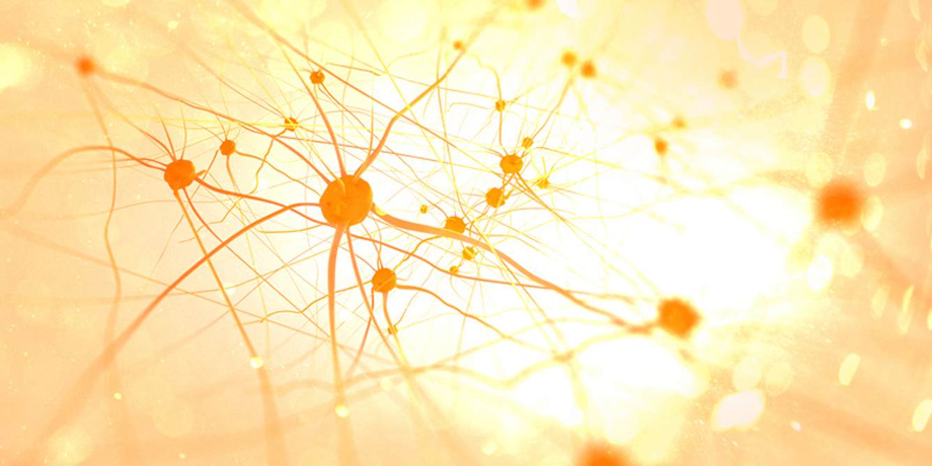 Neuronen im Gehirn